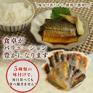 鯖 さば 5種 13枚 詰め合わせ バラエティ セット レンジ 簡単 調理 沼津 静岡