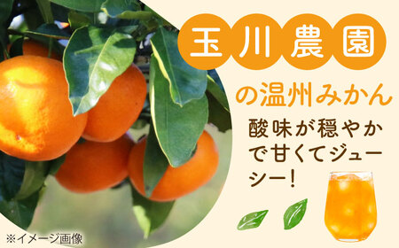 みかんジュース 720ml×4本セット /玉川農園[AGBC013] みかんジュース ストレート みかんジュース ストレート みかんジュース ストレート