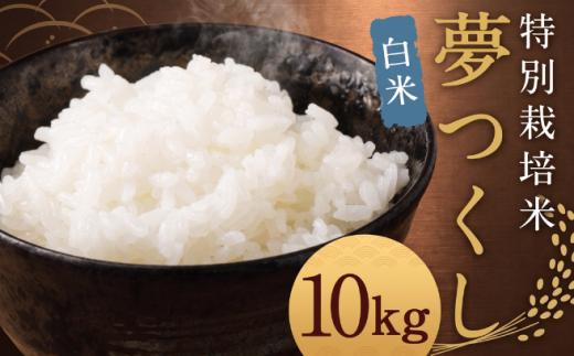 【令和8年度産先行予約】【白米】 夢つくし （特別栽培米） 約10kg 福岡県産 米 こめ コメ