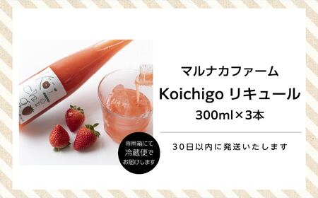 リキュール Koichigoリキュール 300ml×3本セット【まるなかファーム株式会社】