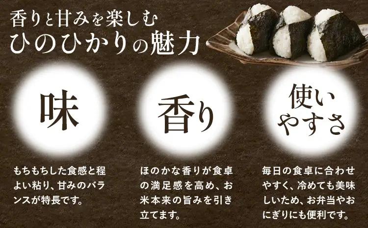 令和7年産 有機JAS 七城産ひのひかり 無洗米 4kg 渡辺農産熊本県 菊池市 米 お米 精米 ひのひかり 《30日以内に出荷予定(土日祝除く)》菊池市産 熊本県産 九州産 送料無料