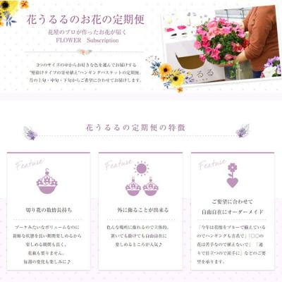 ふるさと納税 山口市 花うるるのハンギング定期便〜アレンジコース【全6回】(半年〜1年間お届け) A031 |  | 02