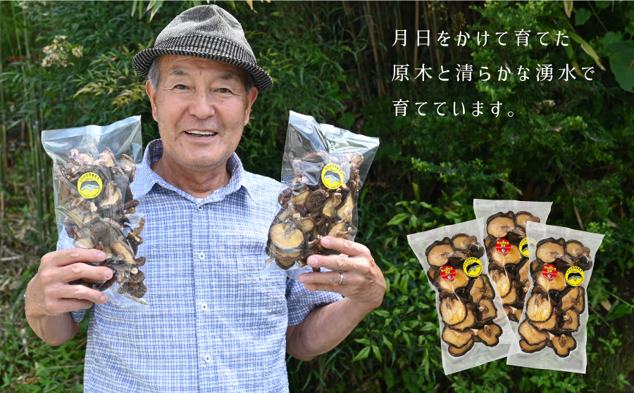 阿蘇・産山村産　原木乾燥しいたけ　大玉300g（100g×3袋）