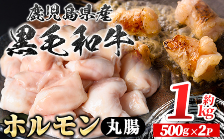 【A01037】鹿児島県産黒毛和牛 ホルモン 丸腸 (計約1kg・約500g×2P) 鹿児島 国産 九州産 黒毛和牛 牛肉 ホルモン 牛ホルモン 生ホルモン モツ 丸腸 マルチョウ 真空パック 個包装 小分け 冷凍 焼肉 もつ鍋 煮込み【新村畜産】