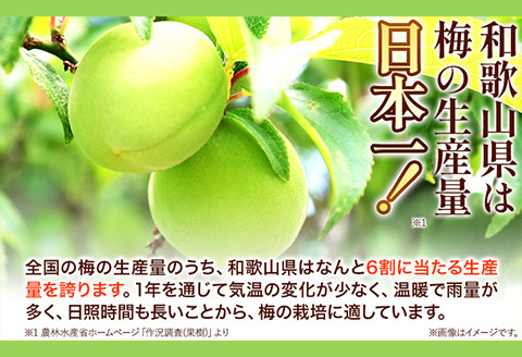 高級南高梅食べ比べ4種1kg網代模様仕上紀州塗箱入り澤株式会社《90日以内に出荷予定(土日祝除く)》梅干しはちみつ白干梅食べ比べ---wsh_swknu4syu_90d_22_24000_1kg---