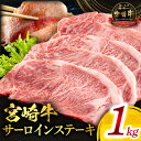 【ふるさと納税】宮崎牛サーロインステーキ 合計1kg 牛肉 肉 お肉 精肉 サーロイン ステーキ サーロインステーキ ブランド牛 国産牛 黒毛和牛 和牛 贈答 贈り物 ギフト プレゼント 人気 おすすめ グルメ お取り寄せ おすそ分け お祝い 内祝い 祝い 宮崎県 宮崎市 送料無料