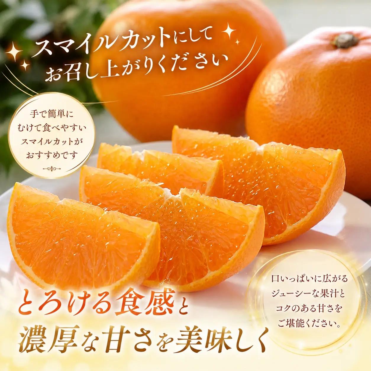 【先行受付】限定150個　柑橘の大トロ!「せとか」約3.6キロ【訳あり品・家庭向け】YWTF063