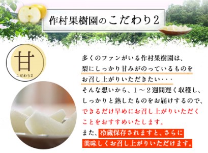 作村果樹園のあきづき梨 約5kg(9～13玉前後) 熊本県氷川町産 作村果樹園《8月中旬-9月末頃出荷》梨 なし