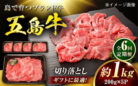 【6回定期便】五島牛 切り落とし 1kg（200g×5P）五島市/meat shop FUKU[PHF019]