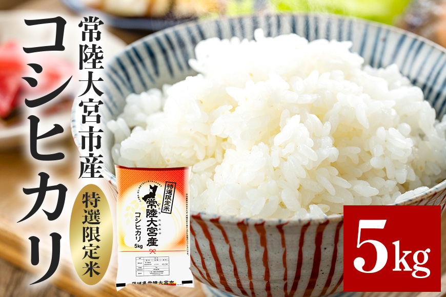 【先行予約】常陸大宮産 コシヒカリ 5kg 特選限定米 白米 精米 おこめ ご飯 国産米 お米ギフト ブランド米 贈答用 人気のお米 美味しいお米 【一般財団法人常陸大宮市観光物産協会】【ho1396】