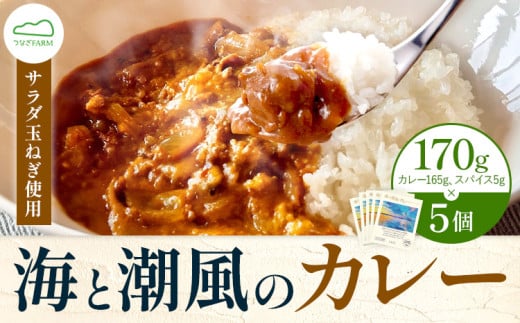 海と潮風のカレー 850g (170g × 5個) ゆいやわす《6月下旬頃から出荷》熊本県 葦北郡 津奈木町 カレー 簡単調理 つなぎFARM サラダ玉ねぎ使用