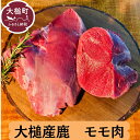 【ふるさと納税】ジビエ 鹿肉 モモ 肉 岩手県大槌町（200g×1~2パック）大槌ジビエ 大槌鹿 鹿 肉 国産 赤身 ヘルシー 塊肉 ブロック ロースト ステーキ 焼肉 煮込み料理 竜田揚げ 冷凍 送料無料 MOMIJI 岩手県 いわて iwate 三陸 大槌