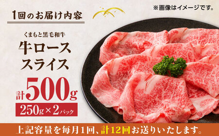 【12回定期便】くまもと黒毛和牛 牛ローススライス 牛すき・しゃぶしゃぶ用 500g（250g×2pc）【馬刺しの郷 民守】   熊本県産 九州産 和牛 お肉 肉 スライス すき焼き しゃぶしゃぶ 小