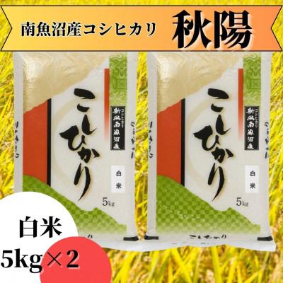 ふるさと納税 南魚沼市 【令和7年産 】南魚沼産コシヒカリ「秋陽」(白米10kg)新潟県の特A地区の美味しいお米