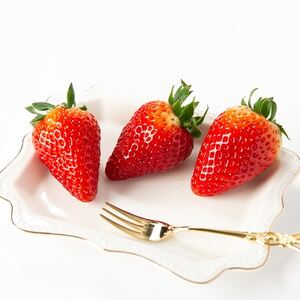 奈良県産いちご　古都華　化粧箱入り2パック【12月中旬から発送】【配送不可地域：離島・北海道・沖縄県】【1253928】