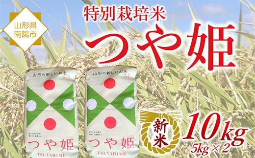 
                  【令和8年産 新米 先行予約】 特別栽培米 つや姫 10kg (5kg×2袋) 《令和8年10月中旬～発送》 『松田観光果樹園』 山形南陽産 米 白米 ご飯 農家直送 山形県 南陽市 [2289-R8]
                