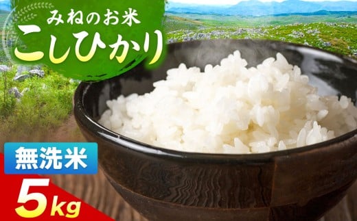 令和7年度産 こしひかり 無洗米 5kg｜ 無洗米  米 雑穀 お米 コメ 単一米 こしひかり コシヒカリ   山口 美祢 秋吉台