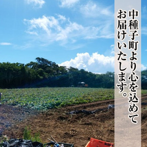 n233 <期間限定・数量限定!>種子島産安納芋とお砂糖のセット「安納芋(10kg)」「種扇糖(300g×2袋)」 国産 鹿児島県産 種子島 自社栽培 さとうきび とうきび 砂糖きび たねおうぎとう