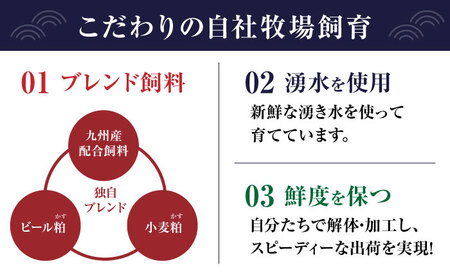 【全12回定期便】赤身 馬刺し 食べ比べ セット 約420g【有限会社 九州食肉産業】熊本県 特産品 馬 国産 純国産  馬刺 さしみ 馬刺し 赤身馬刺し定期 赤身馬刺し定期便 馬刺し食べ比べ定期 [