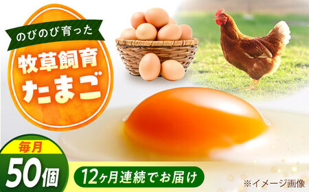【全12回定期便】天心山 たまご 50個（10個入り×5パック）[BABW036] たまご
