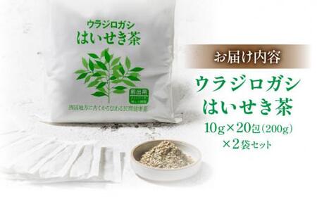 はいせき茶 ノンカフェイン ウラジロガシ 健康茶 パック茶 はいせき茶【T119-005】