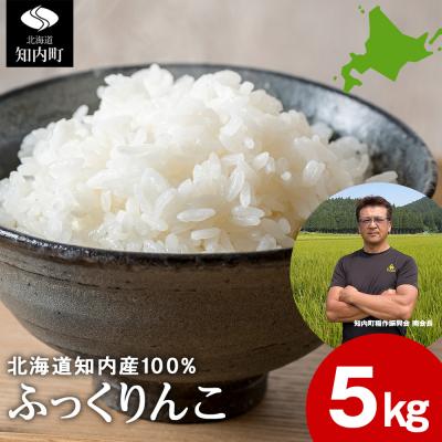 ふるさと納税 知内町 令和8年3月発送 令和7年産ふっくりんこ 5kg 【JA新はこだて】