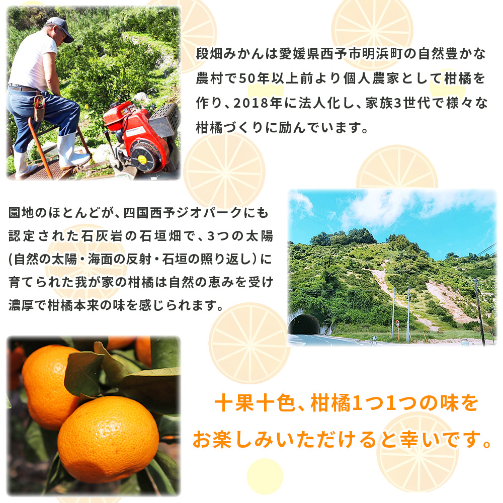 ＜愛媛県西予市産 温州みかん（南柑20号）家庭用 約5kg（サイズ不揃い・小傷あり）＞ 訳あり 果物 くだもの ミカン 柑橘 フルーツ 段畑みかん株式会社 愛媛県 西予市