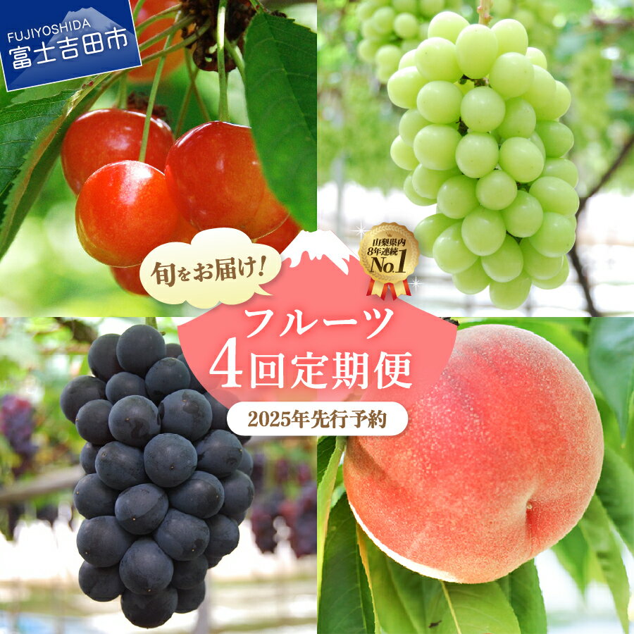 【ふるさと納税】 フルーツ 定期便 4回 数量限定 シャインマスカット もも さくらんぼ 黒ぶどう 果物 くだもの お届け 期間限定 6月～9月 発送 冷蔵 ギフト お楽しみ 山梨 富士吉田