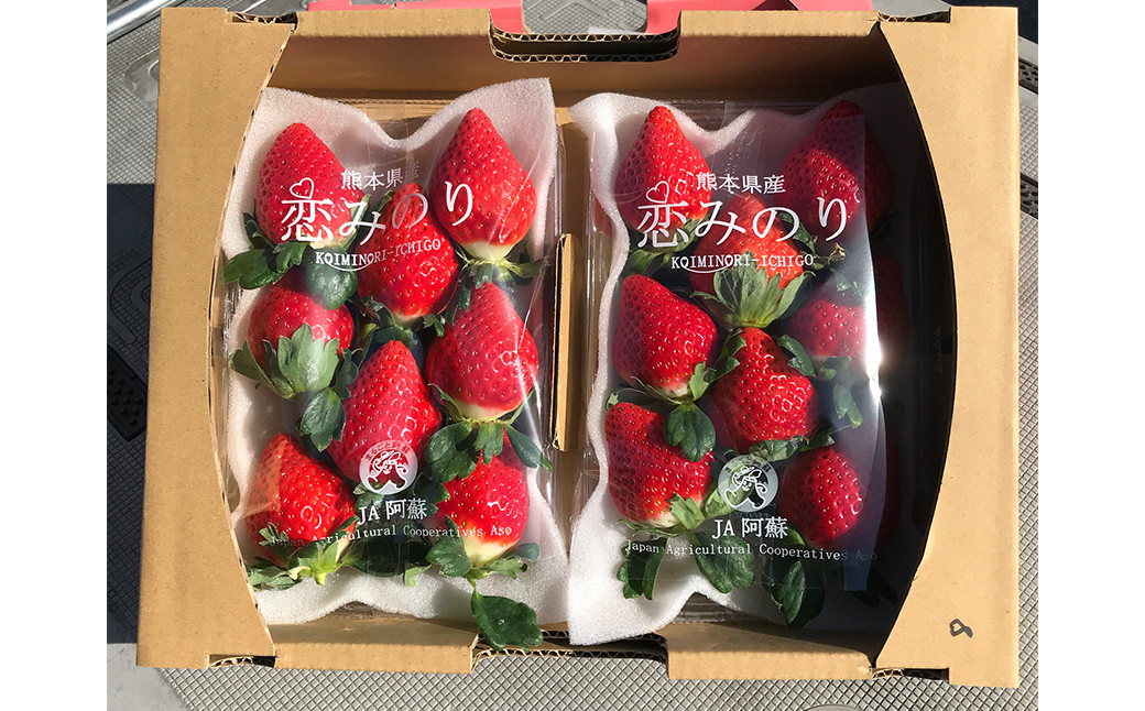  熊本県産 苺 旬の品種 （2種） 約1.5キロ 前後