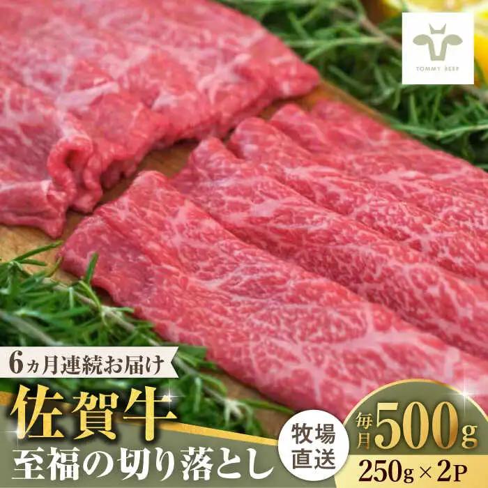 【全6回定期便】佐賀牛至福の切り落とし 計3kg（250g×2袋×6回） / 佐賀県 / 有限会社佐賀セントラル牧場 [41ASAA019]