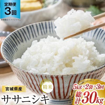ふるさと納税 気仙沼市 3回 定期 米 宮城県産  ササニシキ 10kg(5kg×2) 計30kg 20564929