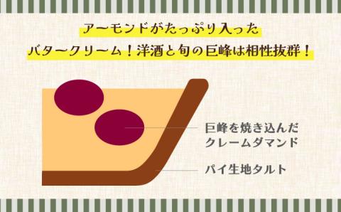 【2024年7月下旬～発送】【舌にあふれる季節感♪こだわりのサクサクタルト】焼き葡萄のタルト / タルト ぶどう 18cm 南島原市 / アトリエジジ [SAA001]