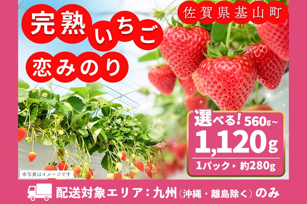 
            【九州内配送】【先行受付 2026年1月より発送】【農場直送】内容量が選べる 恋みのり【約280g 2パック or 4パック ふるさと納税 基山町産 いちご イチゴ 朝採れ 完熟果】K100P014
          