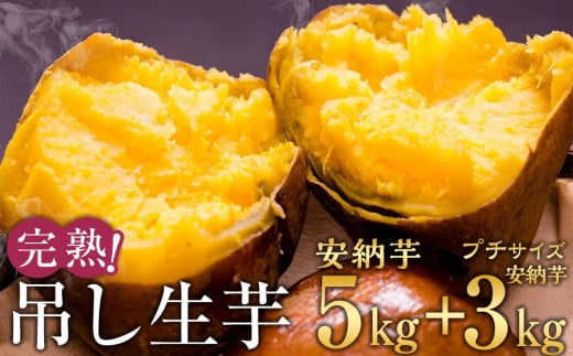 完熟吊し生芋セット 安納芋5kg＋プチサイズ安納芋3kg【安納芋 安納いも 焼き芋 焼芋 芋 いも やきいも さつまいも さつま芋 熟成 蜜 しっとり 甘い 安納いも 国産 鹿児島県産 種子島産 中種子町 安納大地 送料無料 N163】