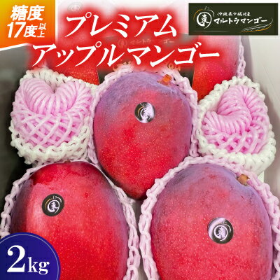 【ふるさと納税】【2026年6月下旬から順次発送】マルトウマンゴーのプレミアム アップルマンゴー2kg【配送不可地域：離島】【1670285】