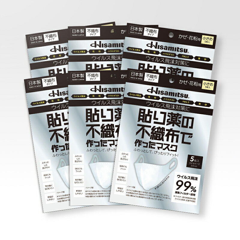 【ふるさと納税】貼り薬の不織布で作ったマスク（耳掛けタイプ）小さめサイズ 6個セット / マスク