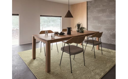 H146 4色から選べる防虫・防ダニ・防カビ・抗菌のマルチ機能ラグ 2サイズ展開(グレー・200×250cm)【カーペット ラグ マット 防虫 防ダニ 幅 250cm ムシカビクリーン アース製薬 大阪府 八尾】