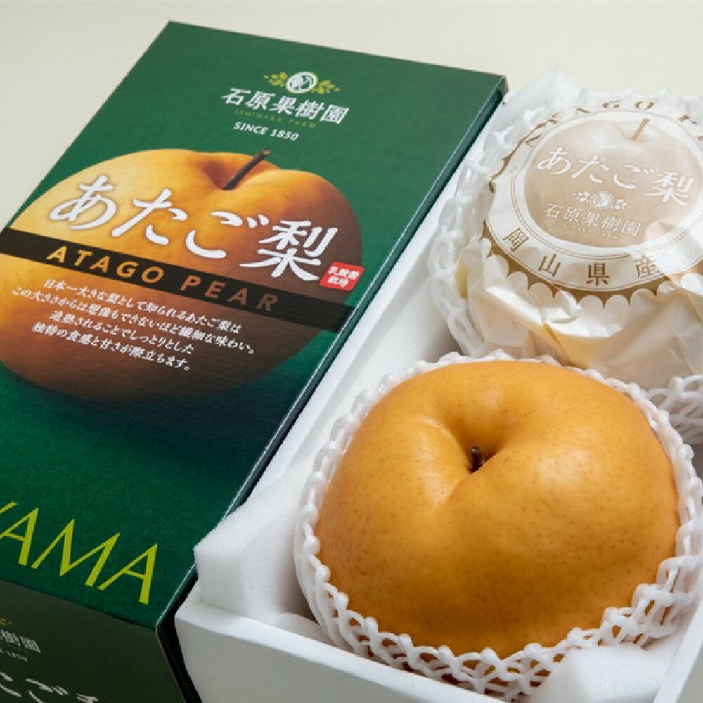 【ふるさと納税】梨 2026年 あたご梨 2玉（約1.2kg玉）化粧贈答箱赤秀【ナシ なし 岡山県産 国産 フルーツ 果物 ギフト 石原果樹園】 | フルーツ 果物 くだもの 食品 人気 おすすめ 送料無料