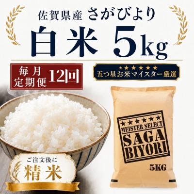 ふるさと納税 多久市 【毎月定期便】さがびより白米5kg(多久市)全12回