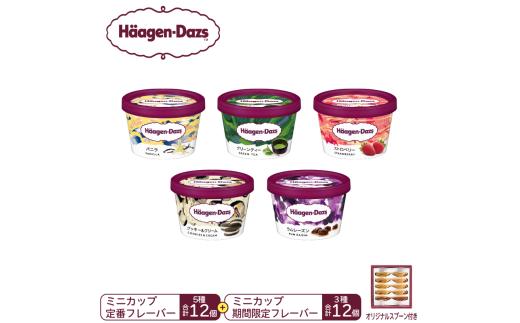 【15B002】　ハーゲンダッツ／パーティーセット