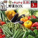 【ふるさと納税】【定期便】 野菜 定期便 旬の おまかせ 野菜 BOX 3回 8~10品目 | ふるさと納税 野菜 定期便 定期 やさい 野菜 セット 詰め合わせ 旬 新鮮 産地直送 大容量 ふるさと 佐賀県 鹿島市 安全安心 リピーター オススメ 大自然 人気 送料無料 C-47