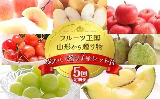 【2025年先行予約 定期便５回】ﾌﾙｰﾂ王国山形からの贈り物 ～味わい巡り 7 種セット B～桃 もも 梨 さくらんぼ メロン 柿 ぶどう ラフランス デザート フルーツ 果物 くだもの 果実 食品 山形県 FSY-2166