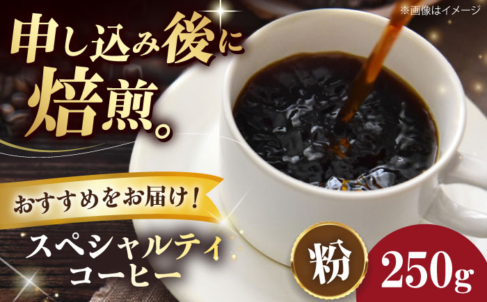 【年内発送】【コーヒー粉】 スペシャルティコーヒー おすすめ1種 250g 珈琲 コーヒー粉 コーヒー ドリップ ドリップ珈琲 飲料 愛媛県大洲市/株式会社日珈 [AGCU025]