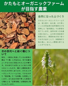 にんにく 1kg かたもとオーガニックファーム ニンニク