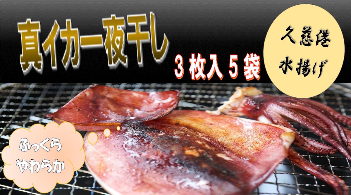 【ふるさと納税】【久慈港水揚げ】イカ一夜干し3枚入り×5袋