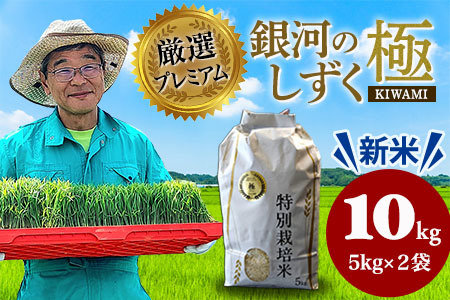 米 【数量限定】銀河のしずく 10kg 厳選プレミアム米 極【2320】