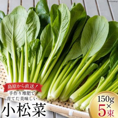 ふるさと納税 島原市 【毎月定期便】ほうれん草・水菜・小松菜の詰め合わせセット(15束)全12回 |  | 02