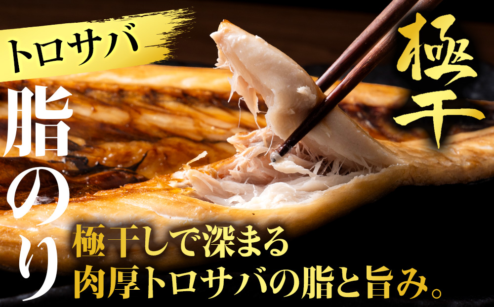【さかな屋本舗至極のセット！】 特大とろさば・特大真ほっけ・秋刀魚・大とろ鮭 各3枚