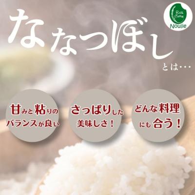 ふるさと納税 比布町 【令和8年産 新米先行受付】ななつぼし玄米 10kg【農業生産法人ノウリエ】 |  | 01