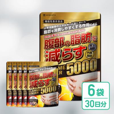 ふるさと納税 名古屋市 脂肪を消費しやすくする ブラックジンジャー サプリメント フラムジンジャー 6袋